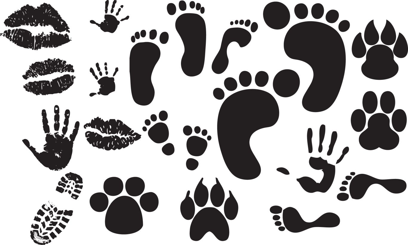 Footprints PNG    图片编号:100602