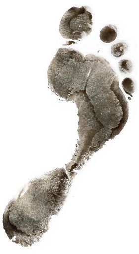 Footprints PNG    图片编号:100606
