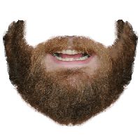 Beard PNG    图片编号:55088