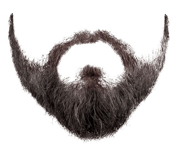 Beard PNG    图片编号:55090