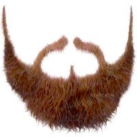 Beard PNG    图片编号:55092