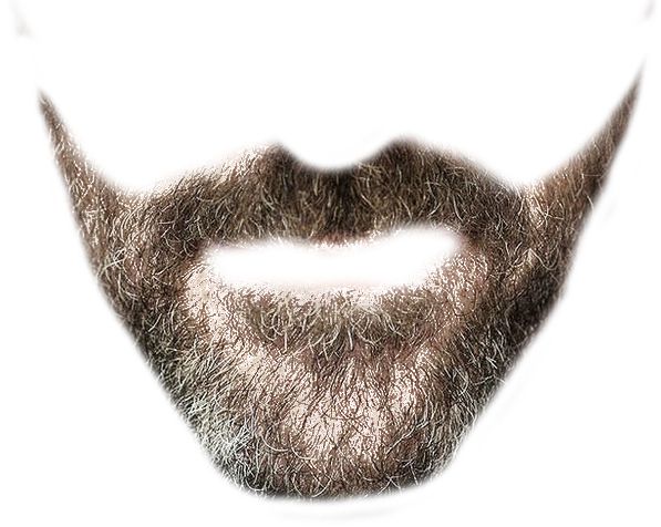 Beard PNG    图片编号:55103