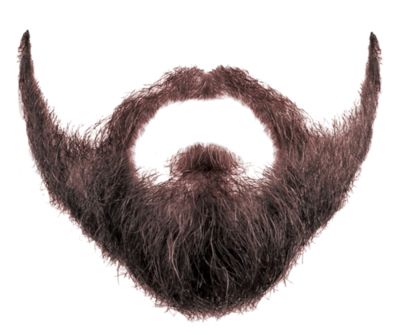 Beard PNG    图片编号:55106