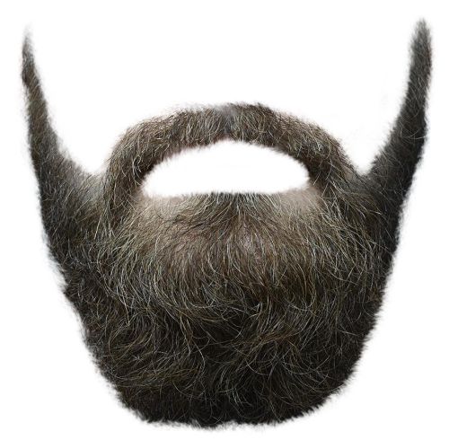 Beard PNG    图片编号:55114