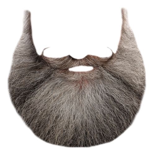 Beard PNG    图片编号:55115
