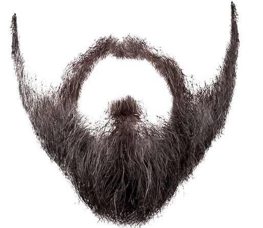 Beard PNG    图片编号:55121