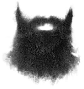 Beard PNG    图片编号:55123
