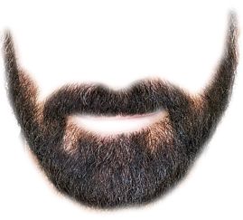 Beard PNG    图片编号:55124