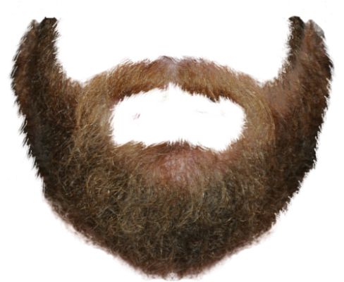 Beard PNG    图片编号:55131
