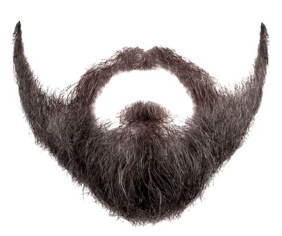 Beard PNG image    图片编号:6247