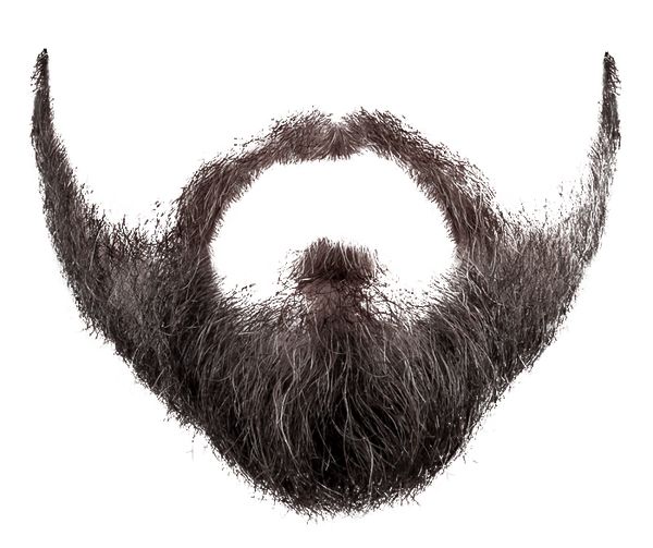 Beard PNG image    图片编号:6248
