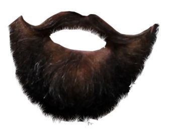 Beard PNG image    图片编号:6252