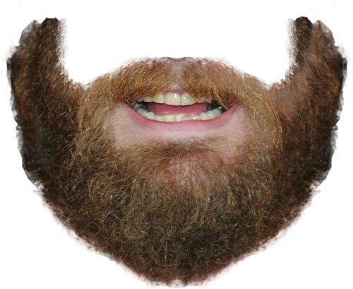 Beard PNG image    图片编号:6254