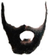 Beard PNG image    图片编号:6255
