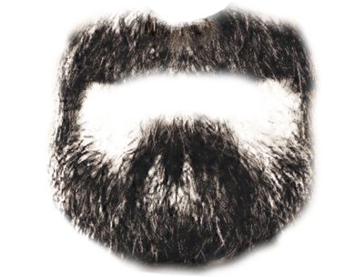 Beard PNG image    图片编号:6259