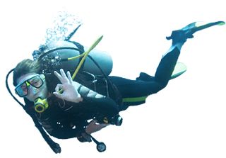 Diver PNG    图片编号:45672