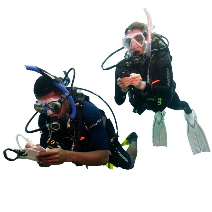 Diver PNG    图片编号:45678