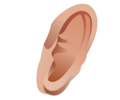 Ear PNG image    图片编号:6242