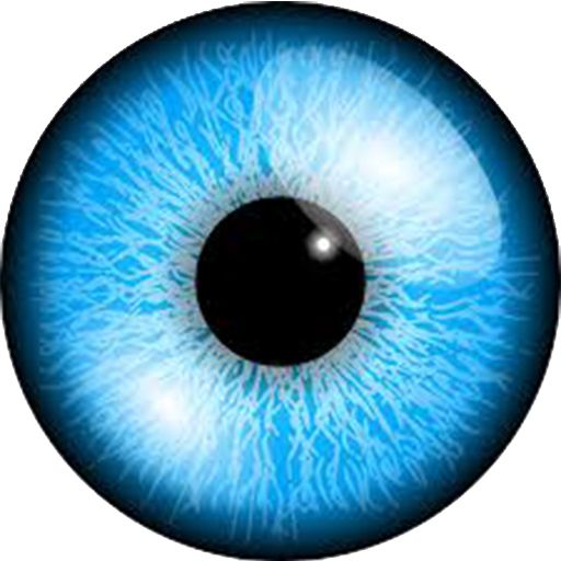 Eye PNG    图片编号:35624