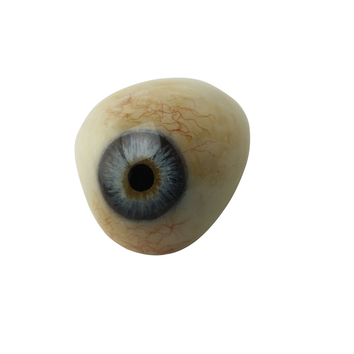 Eye PNG image    图片编号:6182