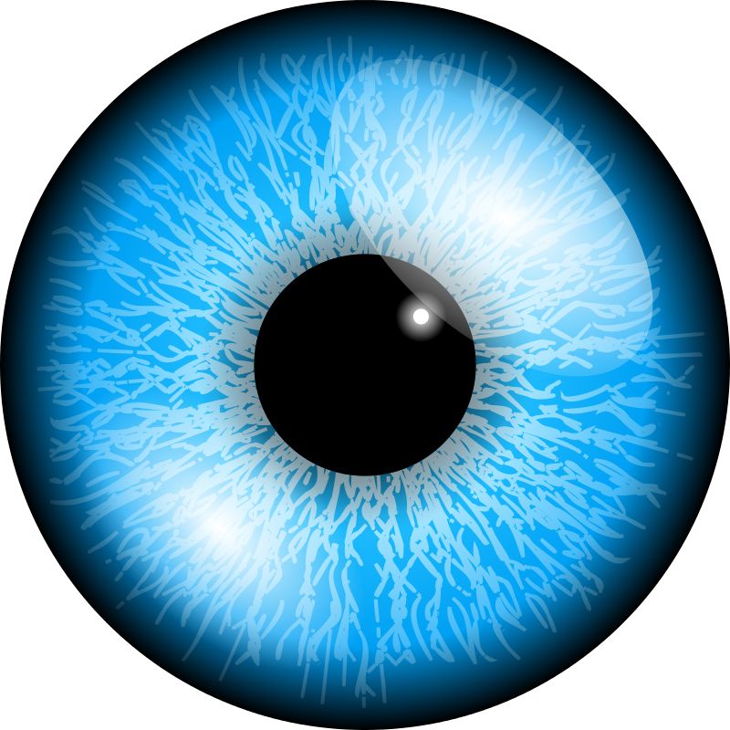 Eye PNG image    图片编号:6183