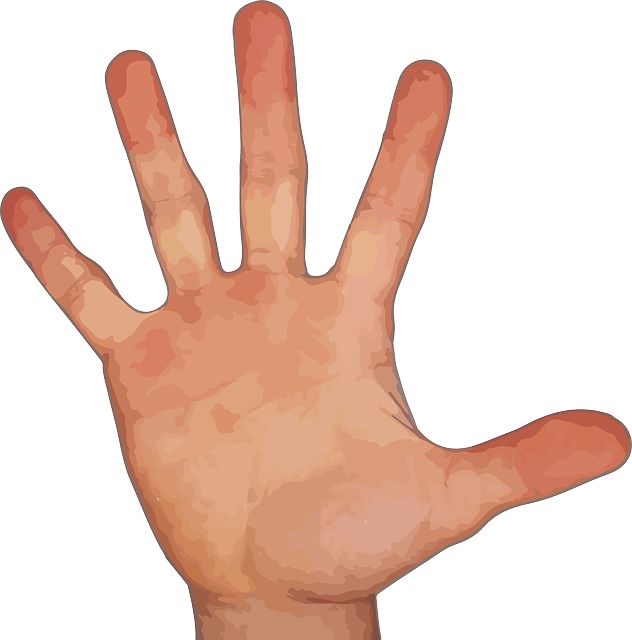 five fingers PNG image    图片编号:6286