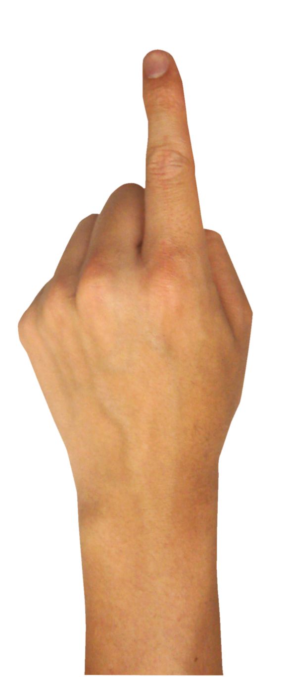 Finger PNG image    图片编号:6288