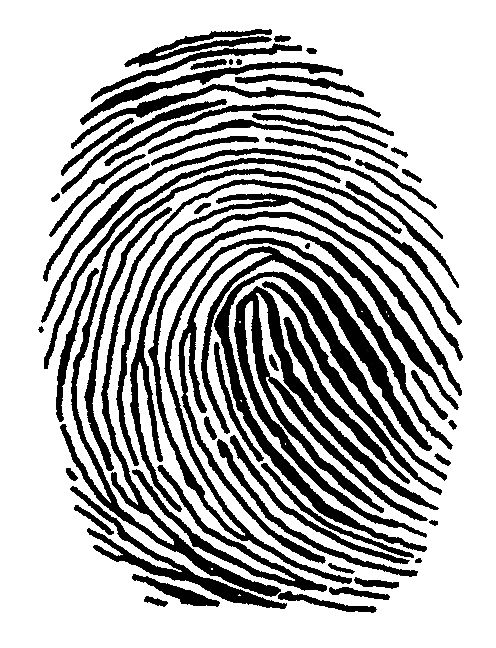 Fingerprint PNG    图片编号:67781