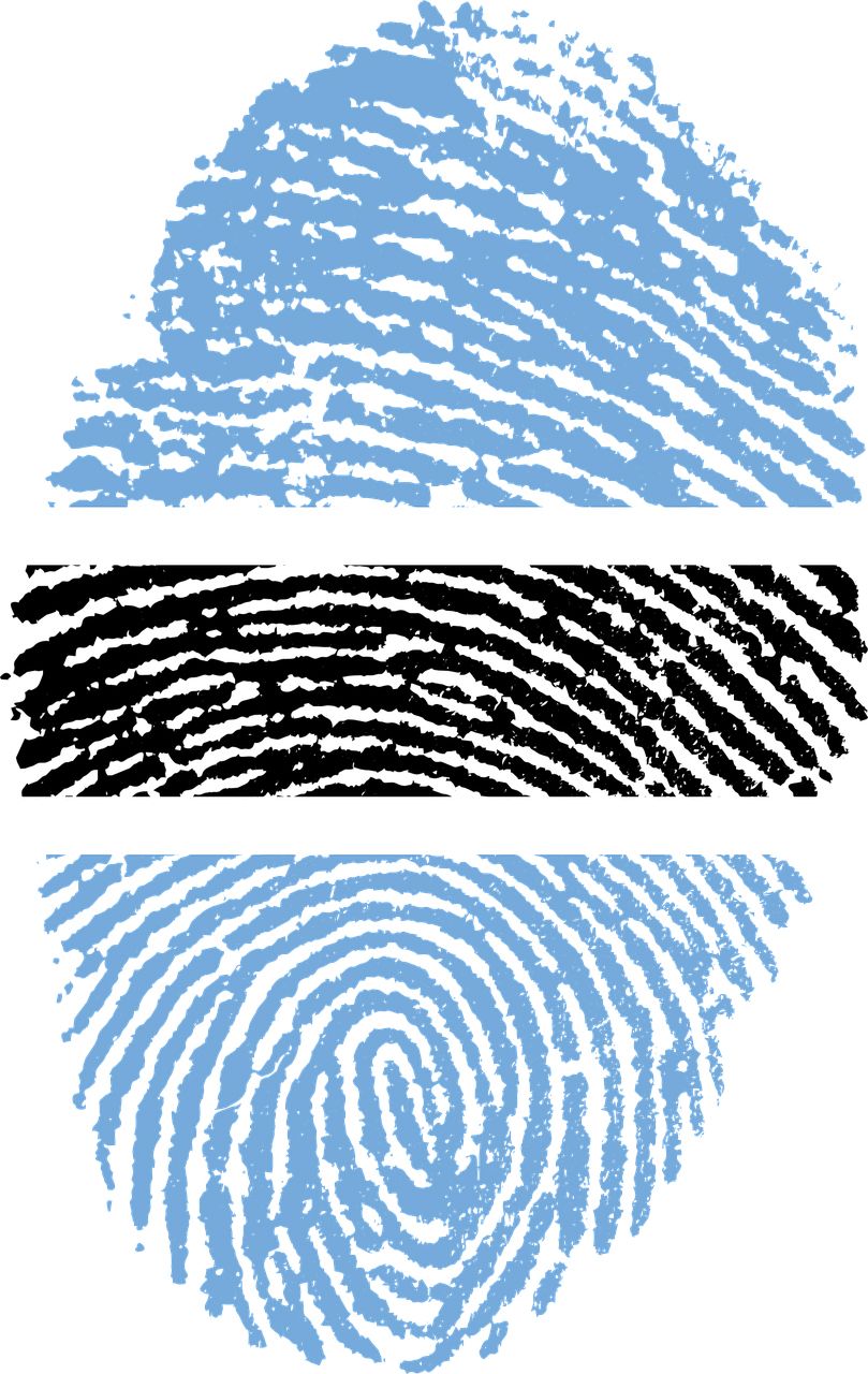 Fingerprint PNG    图片编号:67789