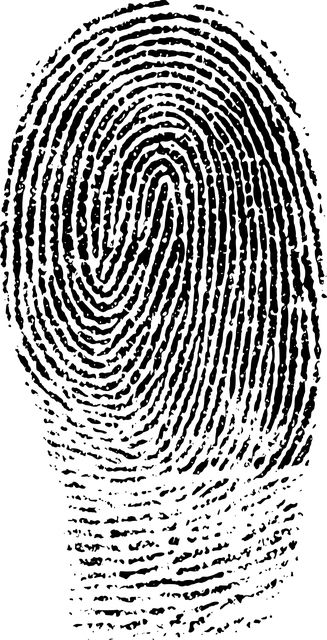 Fingerprint PNG    图片编号:67794