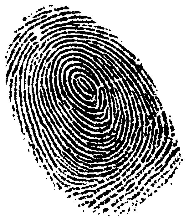 Fingerprint PNG    图片编号:67796