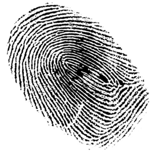 Fingerprint PNG    图片编号:67800