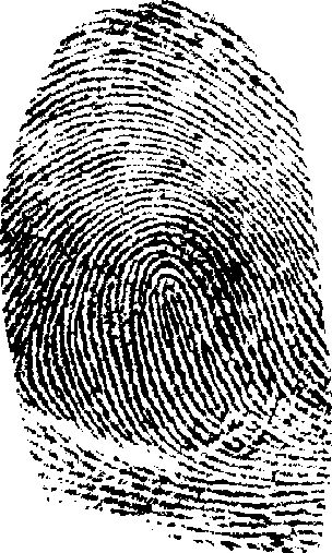 Fingerprint PNG    图片编号:67832