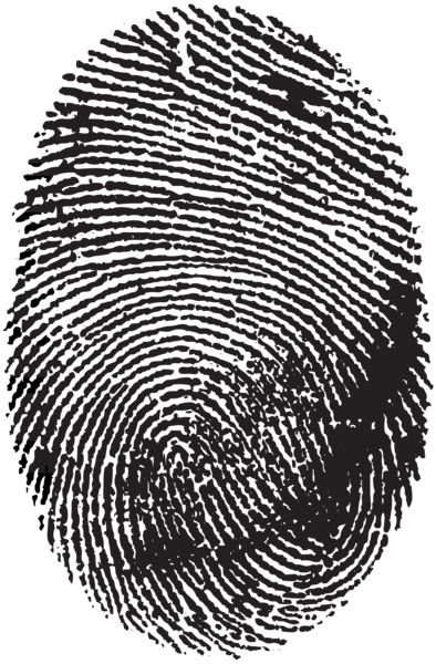 Fingerprint PNG    图片编号:67837
