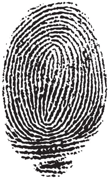 Fingerprint PNG    图片编号:67838
