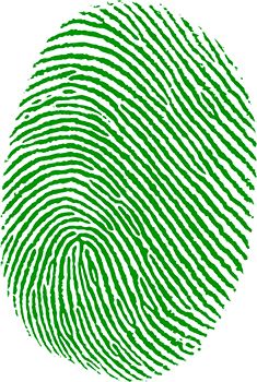 Fingerprint PNG    图片编号:67840