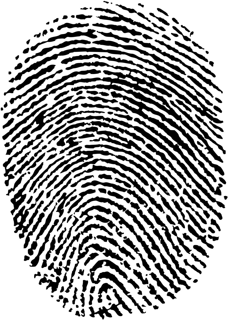 Fingerprint PNG    图片编号:67860