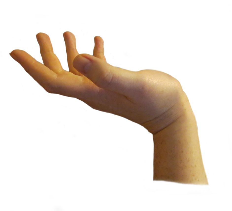 Hands PNG, hand image free    图片编号:869