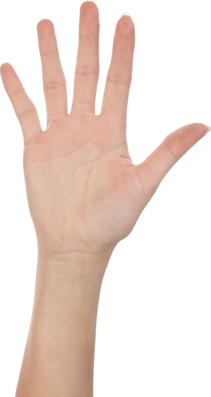 Hands PNG, hand image free    图片编号:870