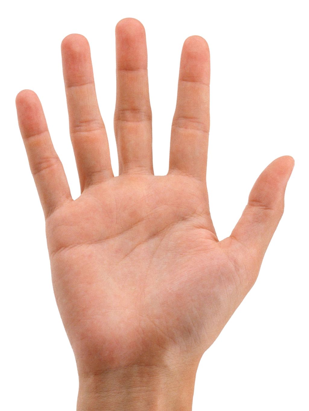 Hands PNG, hand image free    图片编号:905