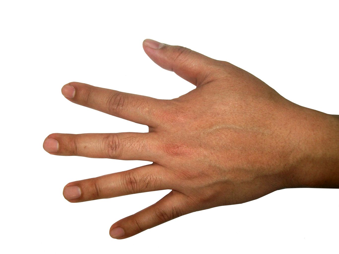 Hands PNG, hand image free    图片编号:907