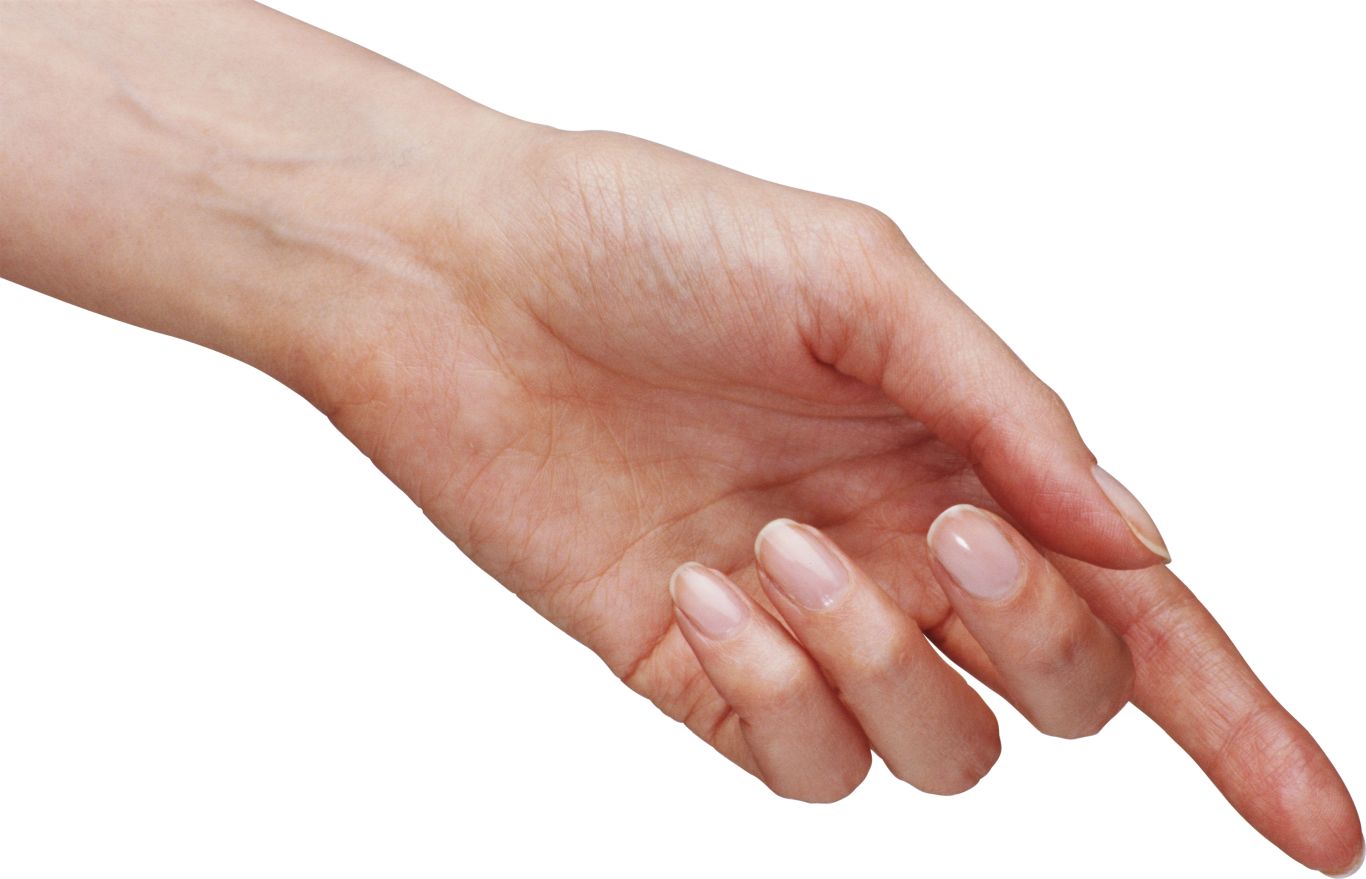 Hands PNG, hand image free    图片编号:936
