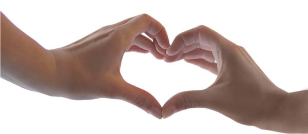 heart from hands PNG    图片编号:98372