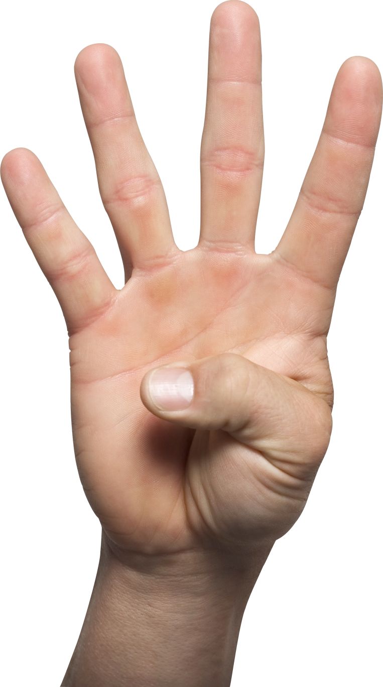 four hand PNG    图片编号:98524