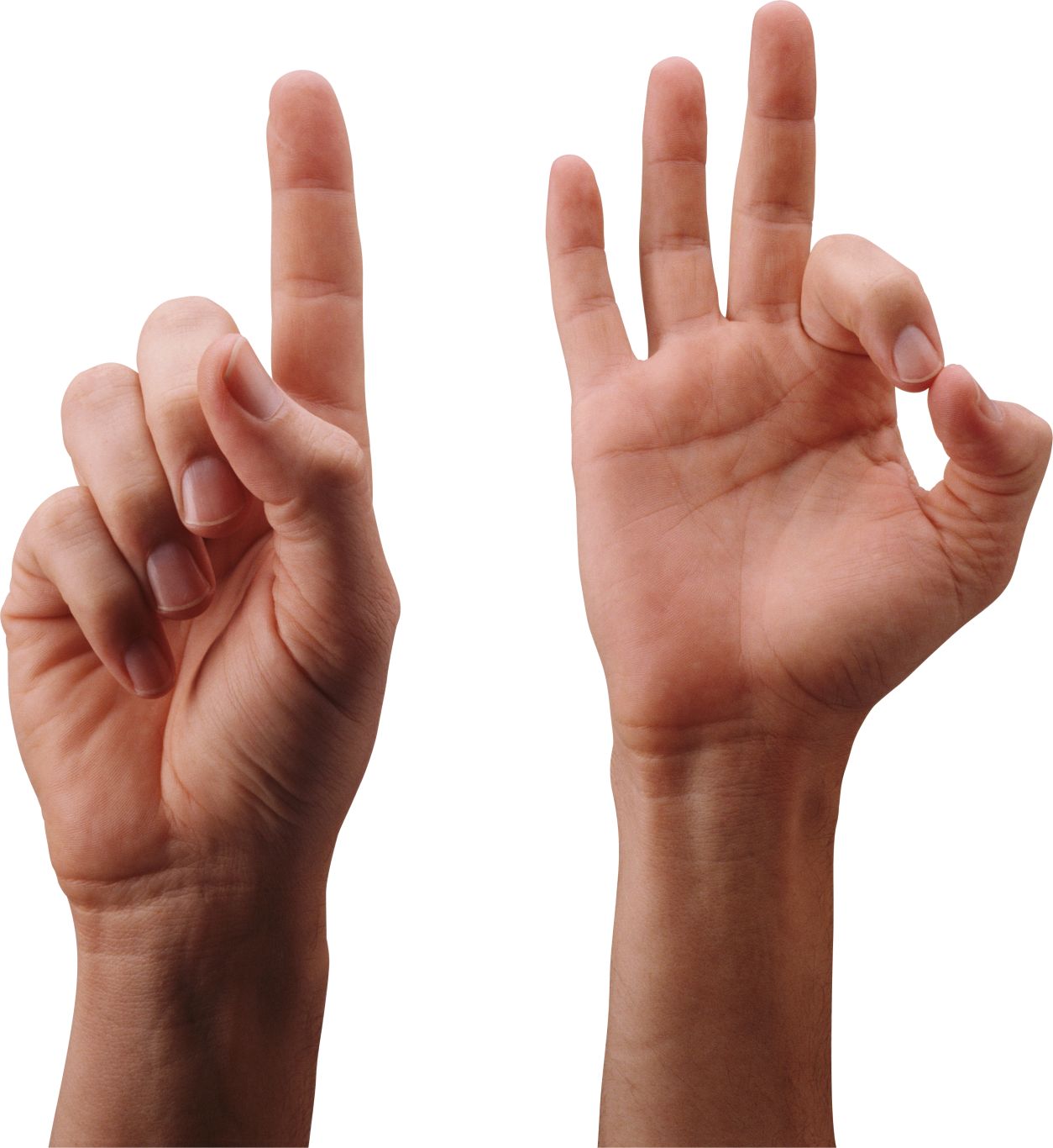 hands PNG image    图片编号:98538