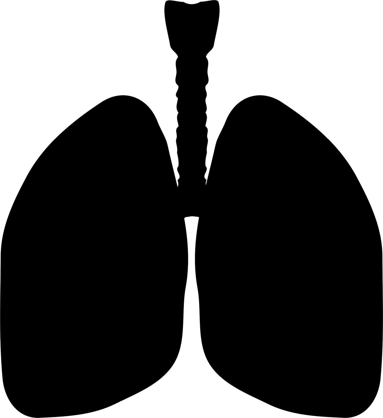 Lungs PNG    图片编号:74881