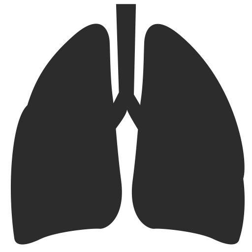 Lungs PNG    图片编号:74890