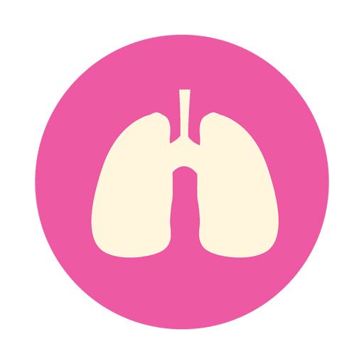 Lungs PNG    图片编号:74895