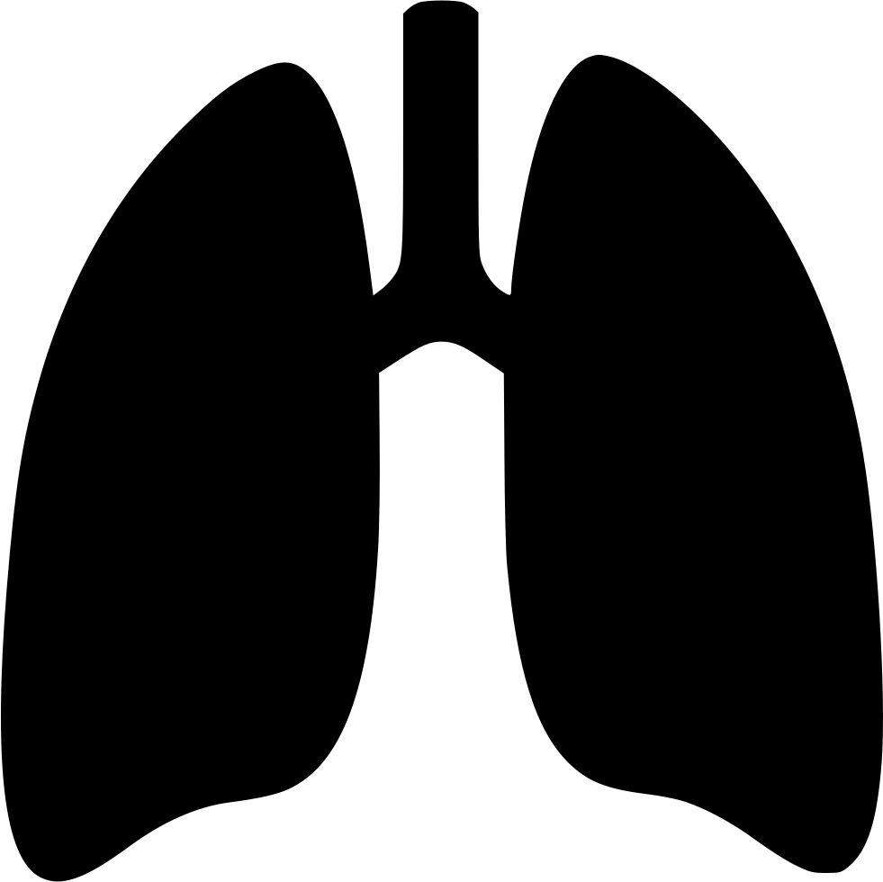 Lungs PNG    图片编号:74899