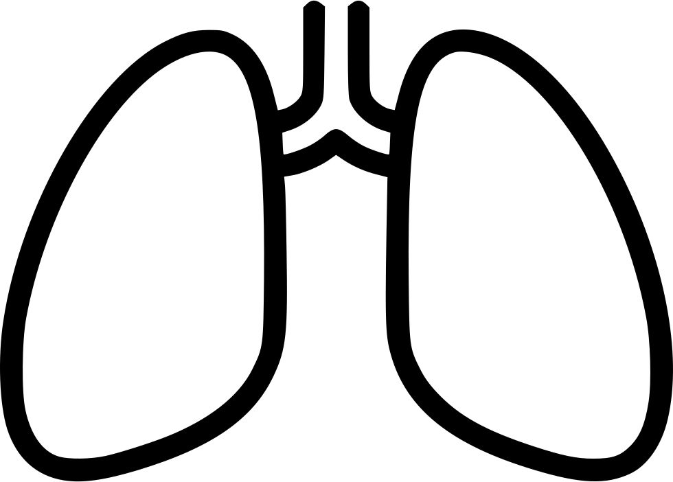Lungs PNG    图片编号:74902
